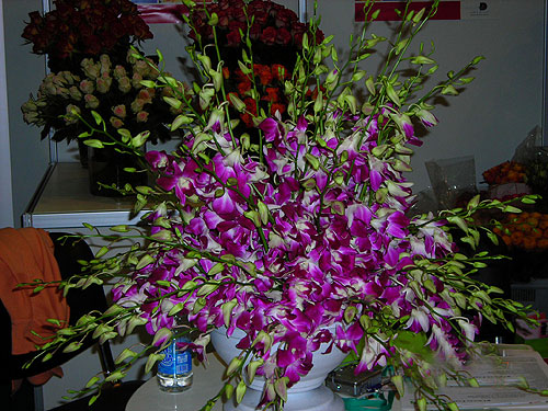 Цветы 2007