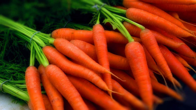 Как выращивать морковь