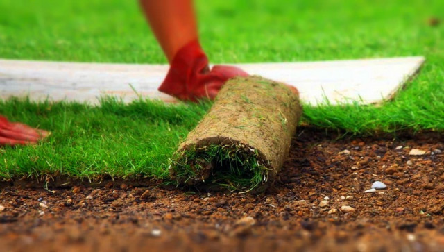 Как укладывать рулонный газон и выполнять профилактику дефектов его покрытия