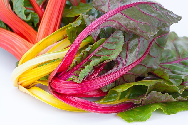 мангольд, beta vulgaris, стебель травы