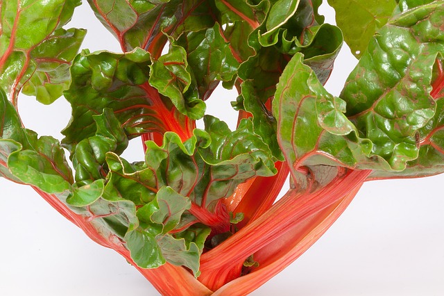 мангольд, beta vulgaris, стебель травы