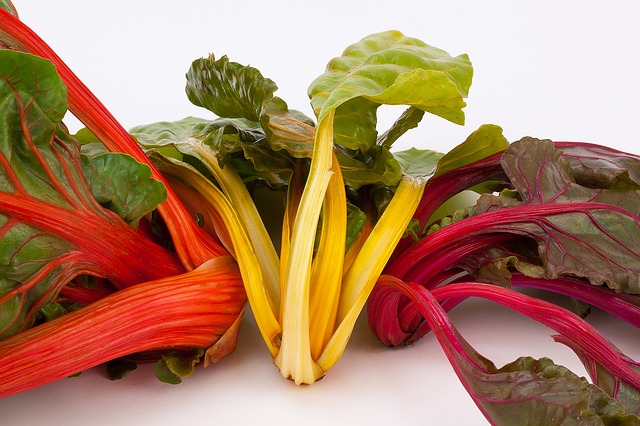 мангольд, beta vulgaris, стебель травы