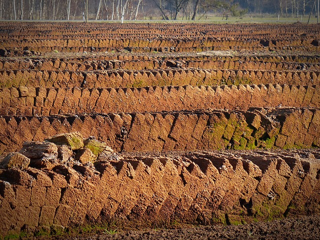 торф, почва potting, торфяной