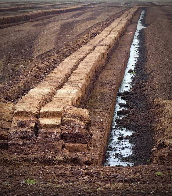торф, почва potting, торфяной