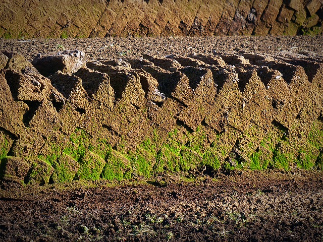 торф, почва potting, торфяной