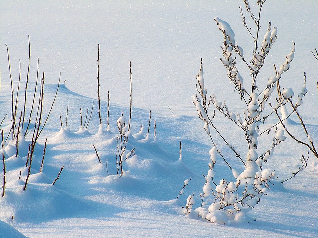 зима, мороз, снег